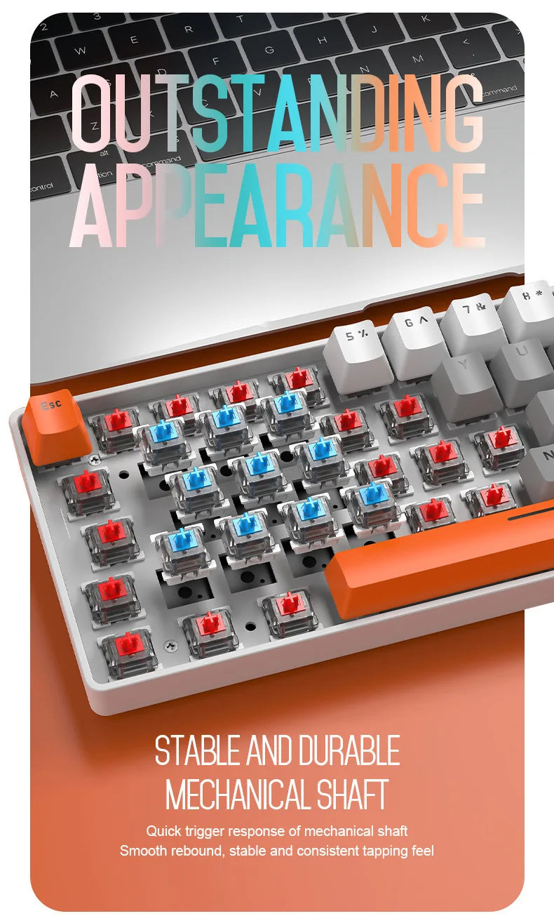 Free Wolf T60 Mechanical Keyboard