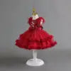 Baby Girl Party Dresses Newborn 1 Years