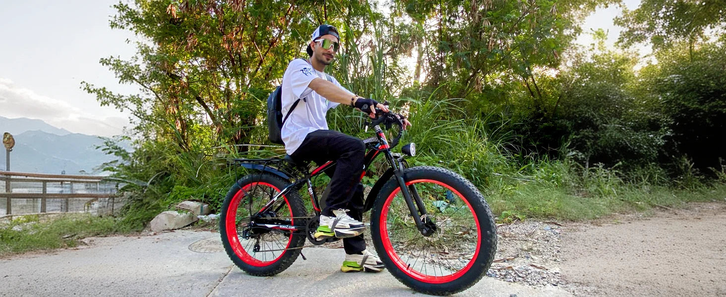 1500W Electric Bike
