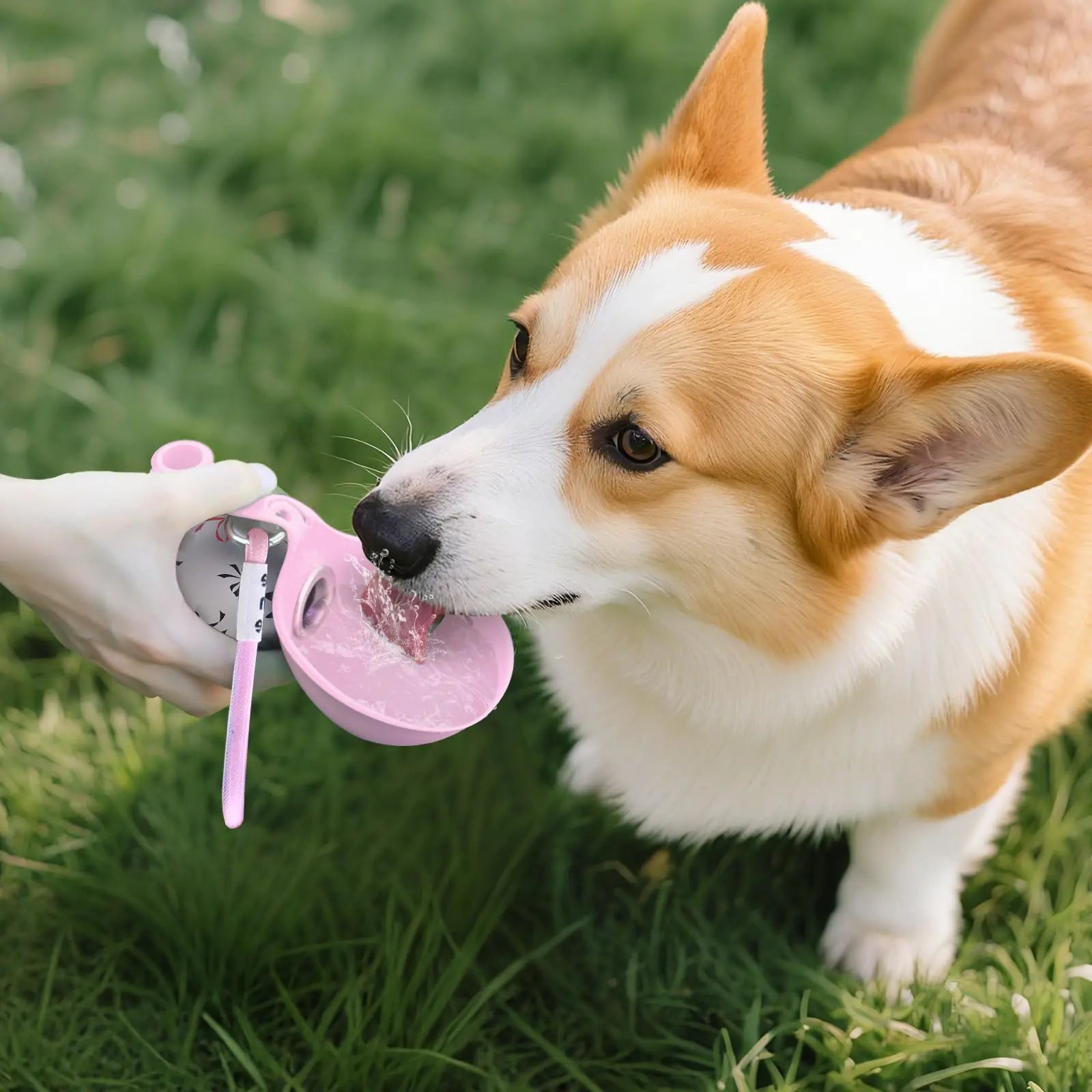 Proof Compact Dog Travel Water Bottle for Small Dogs