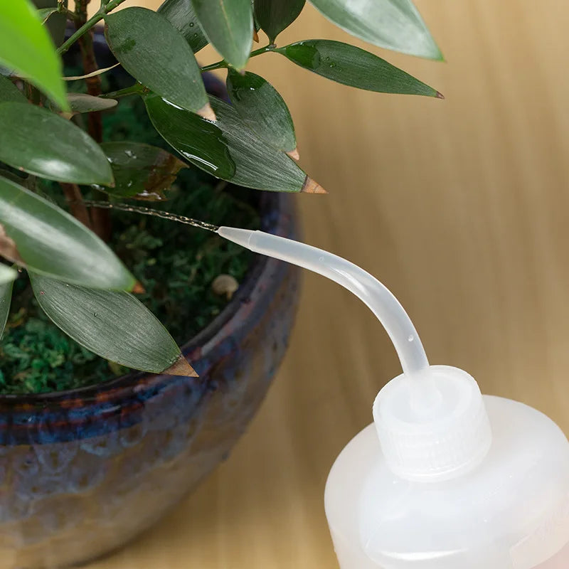 150/250 / 500mL Water Beak Pouring Kettle Tool Succulents