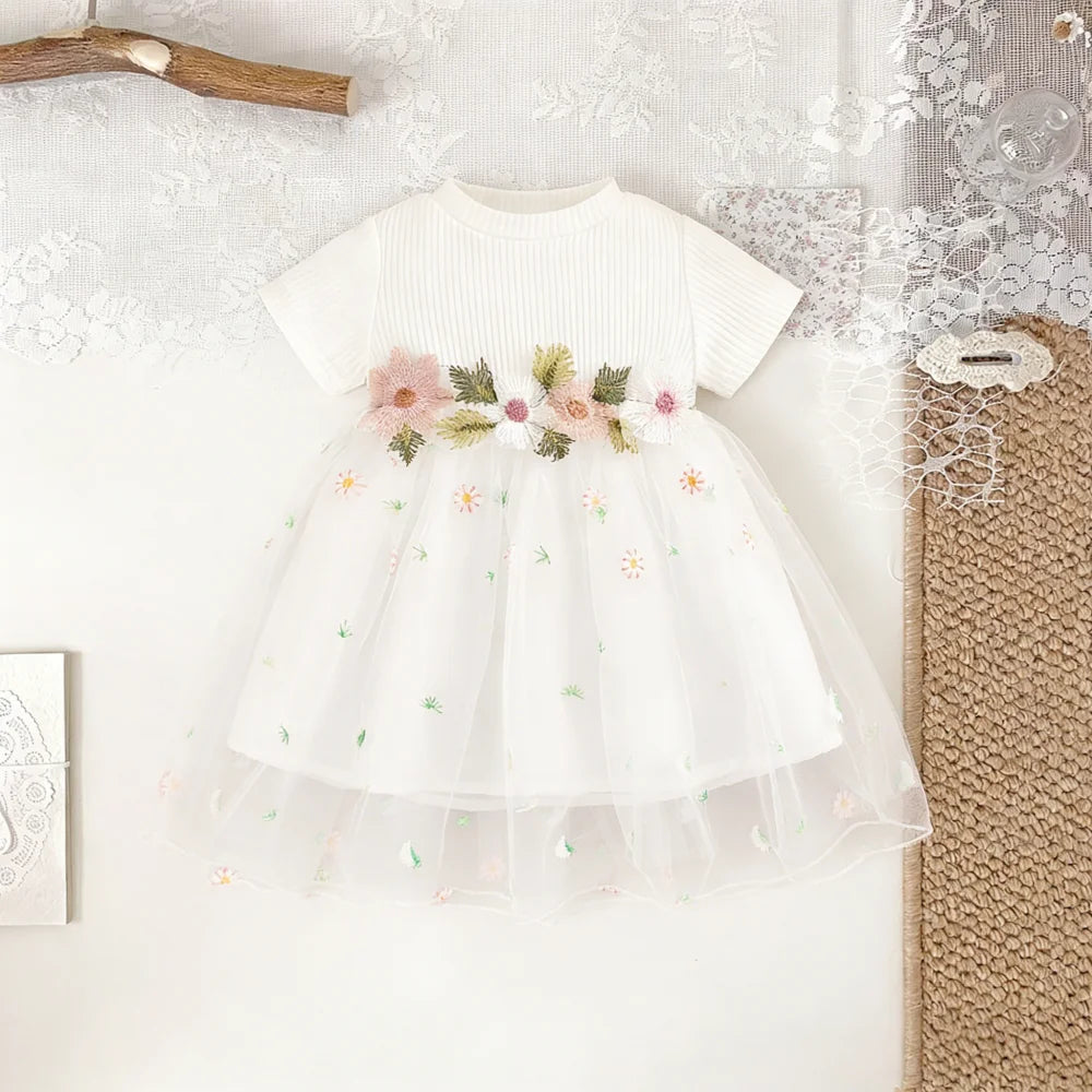 Sweet Princess Birthday Party Baby Dress