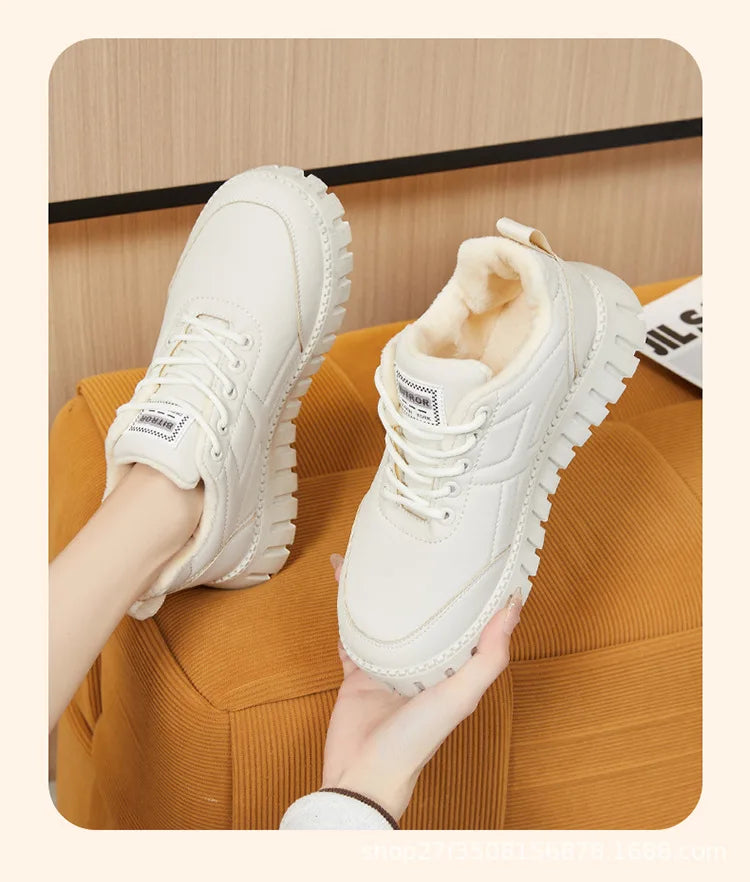 Winter Shoes, Special offers