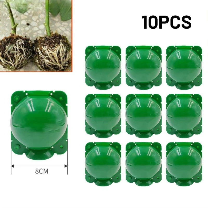 10Pcs Plant Rooting Equipment High Pressure Propagation Ball