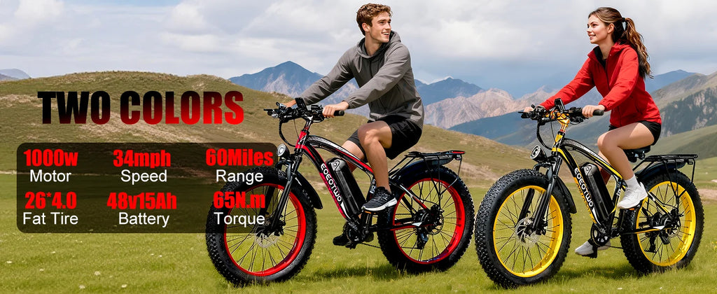 1500W Electric Bike