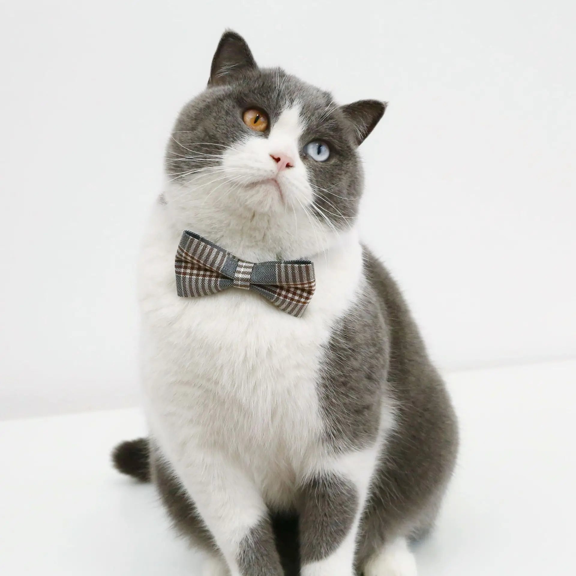 1pc Adjustable Plaid Cat Collar with Bow Tie
