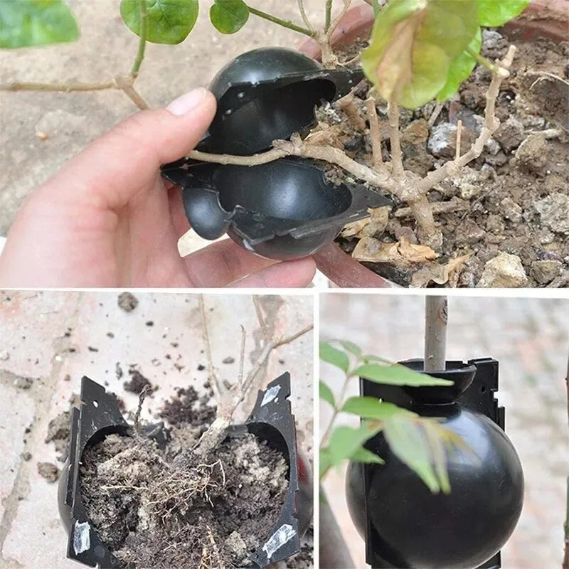 10Pcs Plant Rooting Equipment High Pressure Propagation Ball