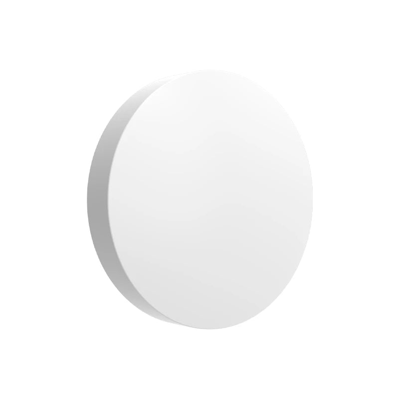 Alexa Goolge Home Voice Assitant