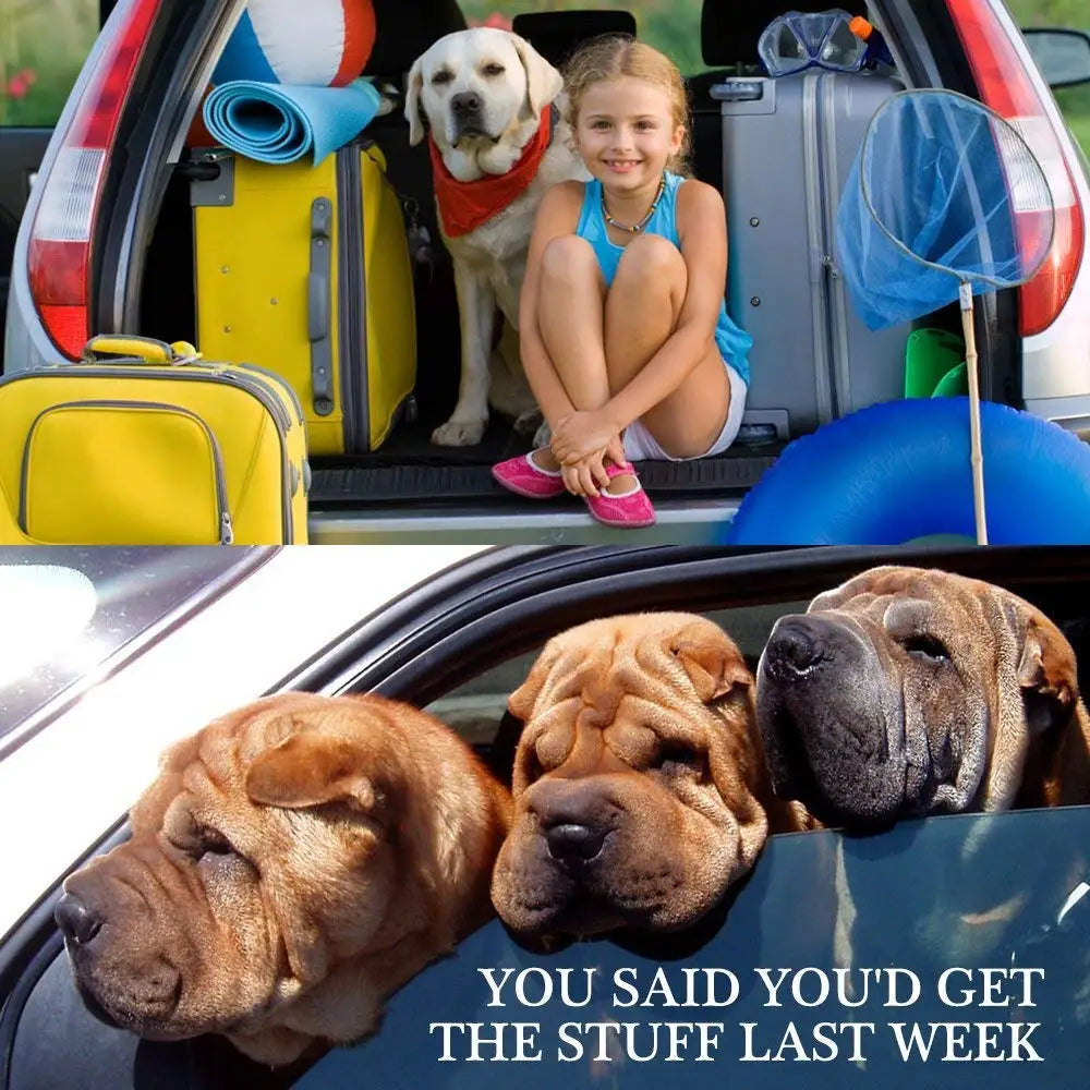 Pet Dog Cat Car Seat Belt