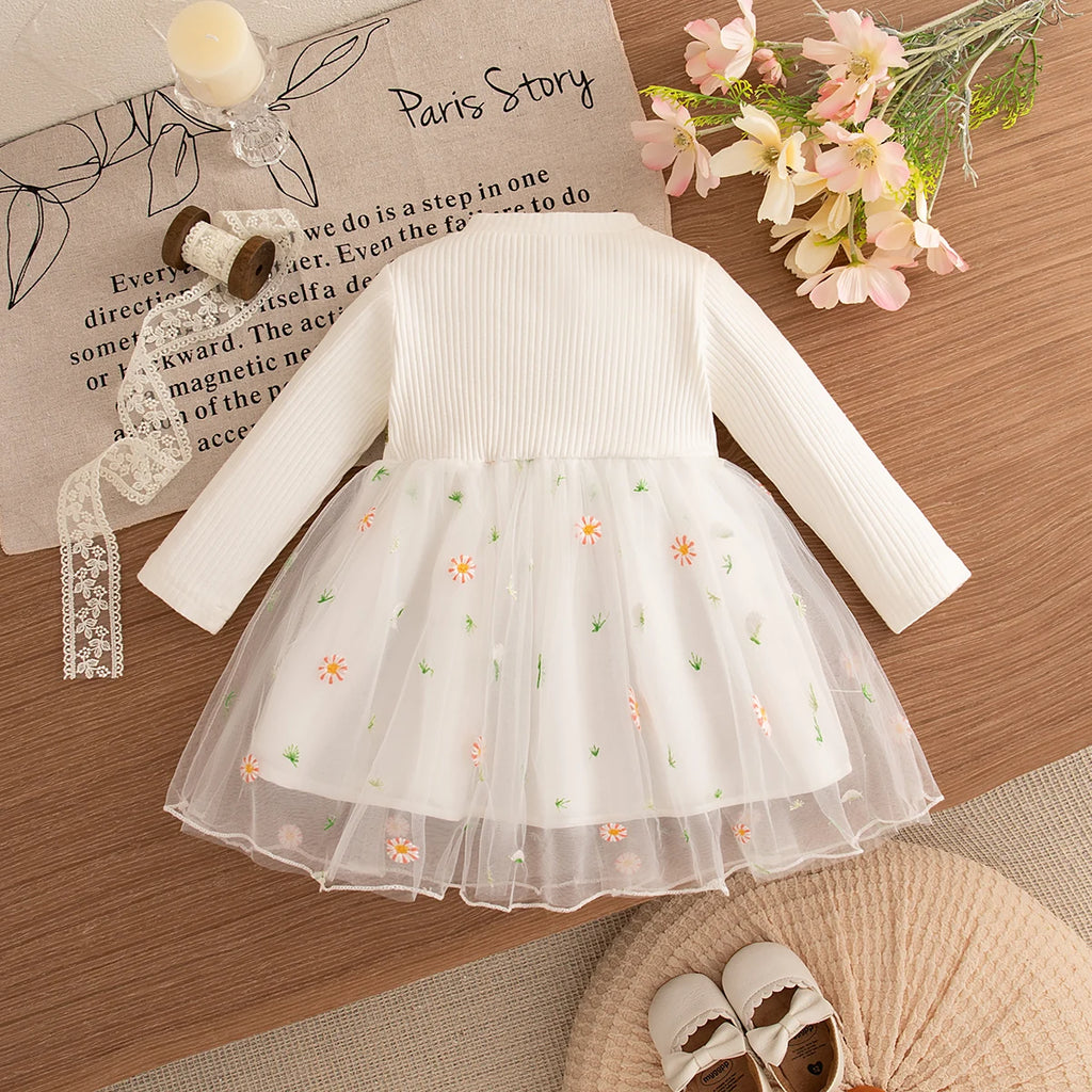 Sweet Princess Birthday Party Baby Dress
