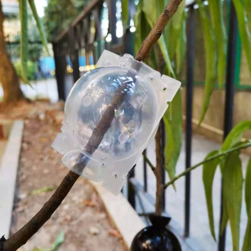 10Pcs Plant Rooting Equipment High Pressure Propagation Ball