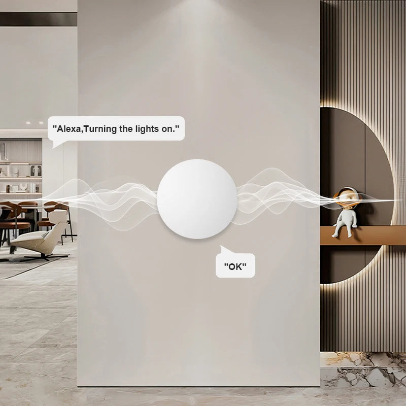 Alexa Goolge Home Voice Assitant