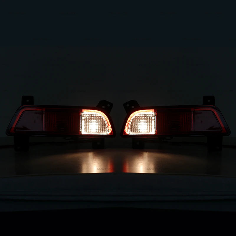 Car Rear Bumper Fog light